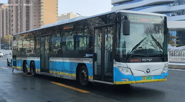 800BUS