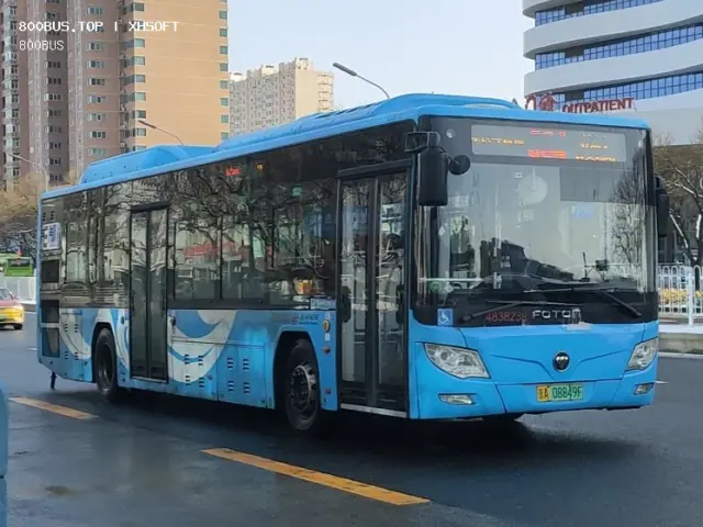 800BUS