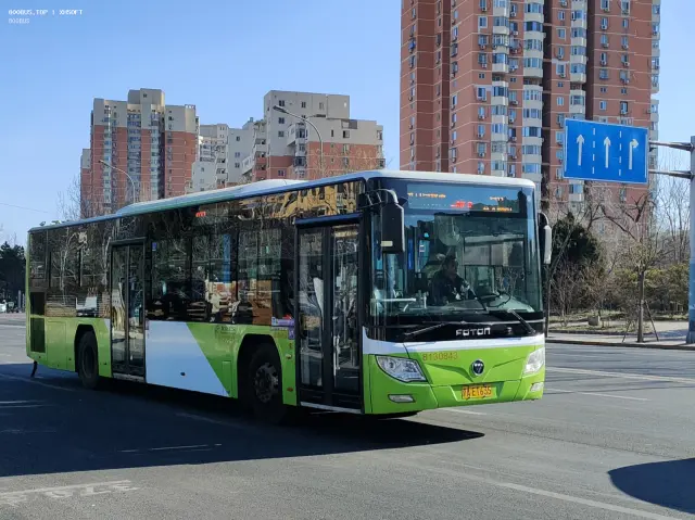 800BUS