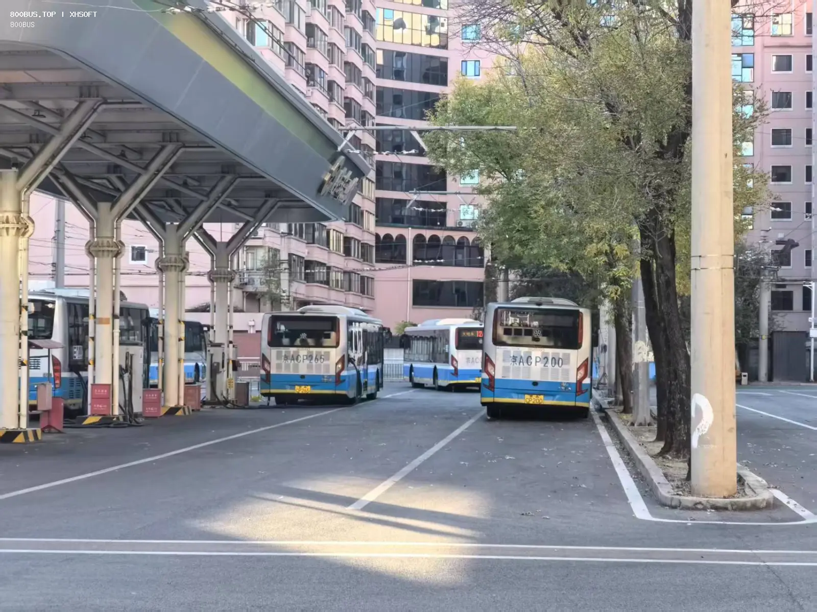 Bus Archive