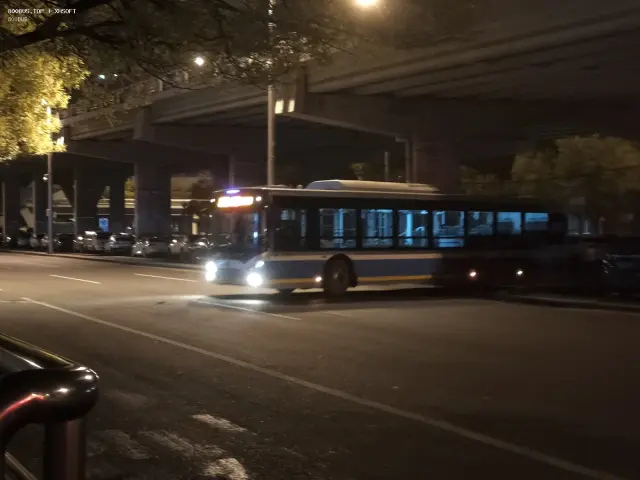 800BUS