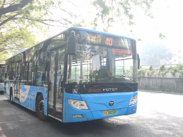 800BUS