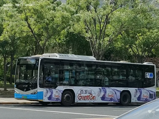 800BUS