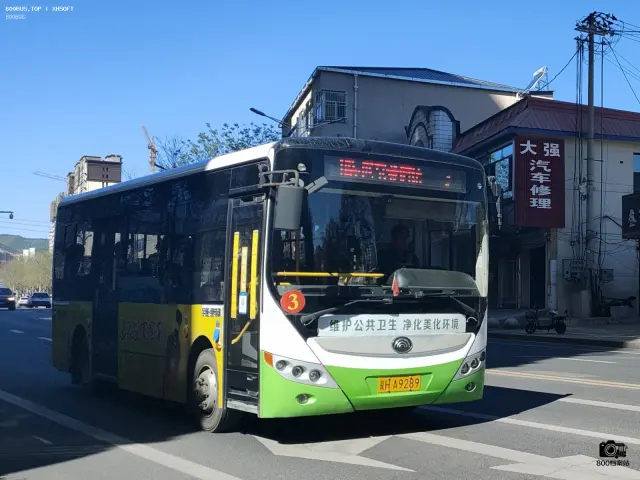 800BUS