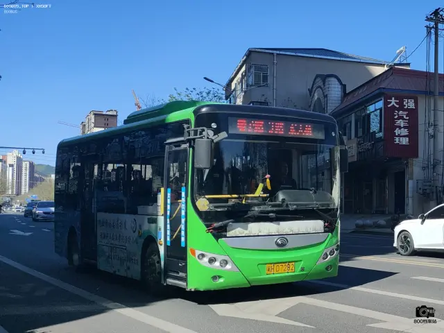 800BUS