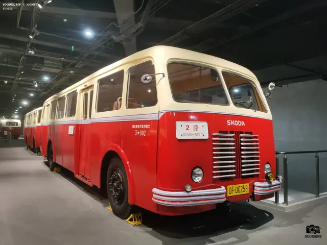 800BUS