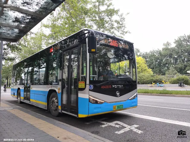 800BUS