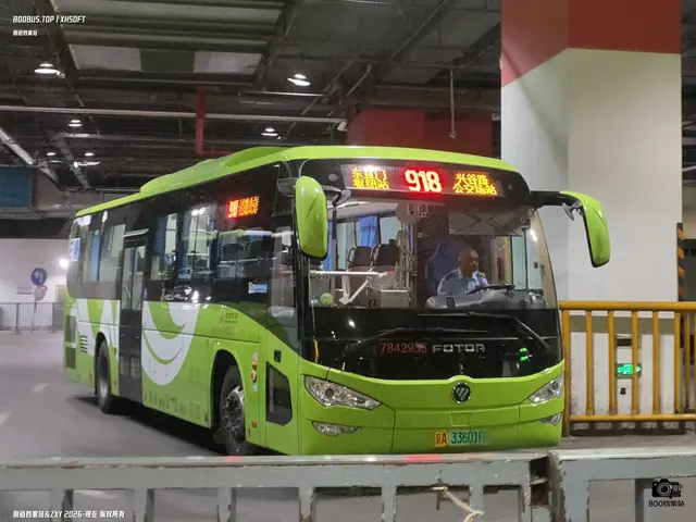 800BUS
