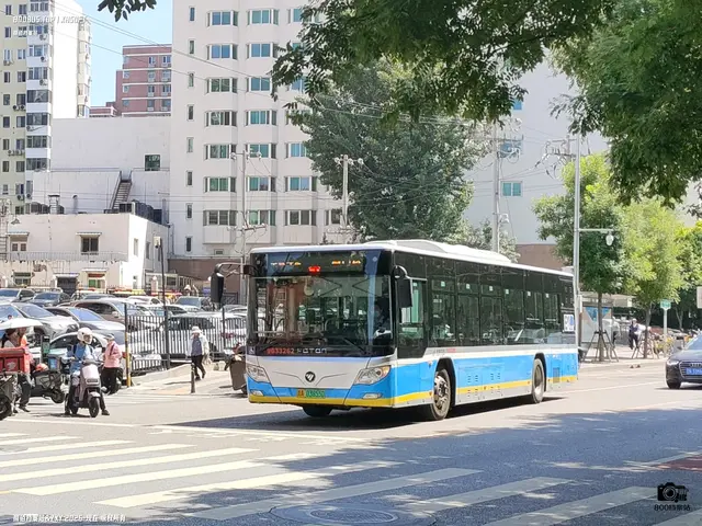 800BUS
