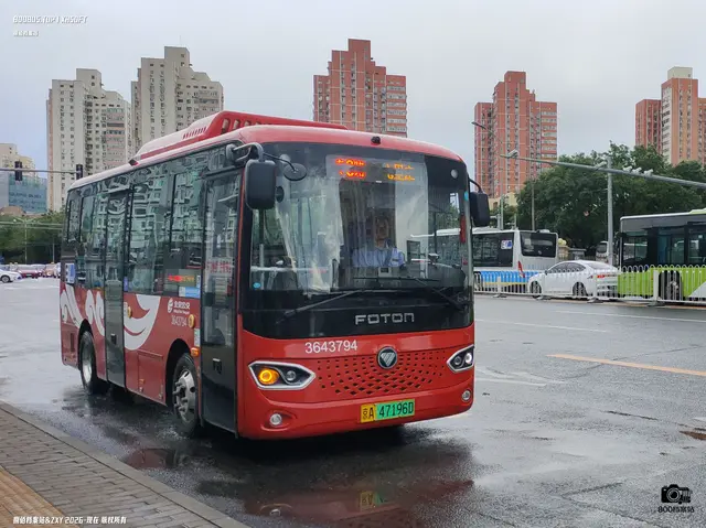 800BUS