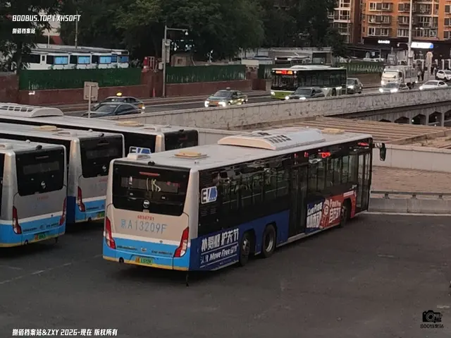 800BUS