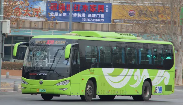 800BUS