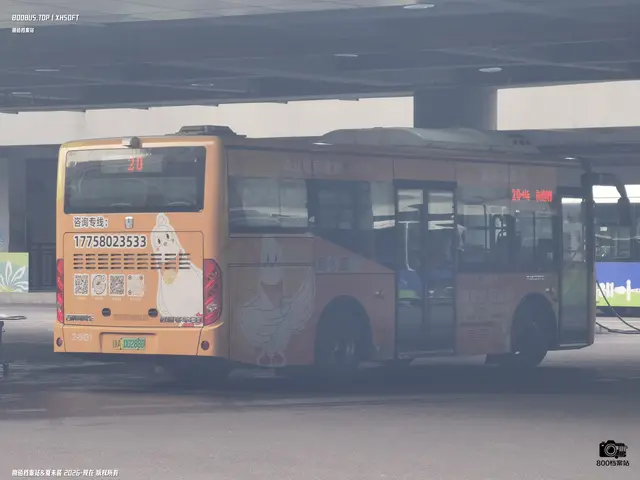 800BUS