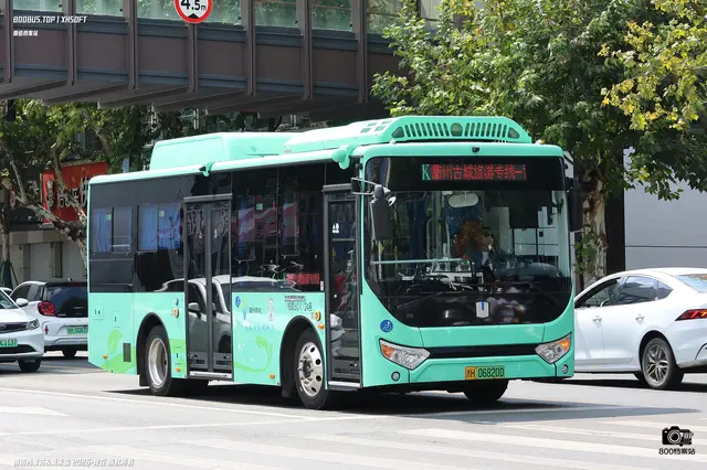 800BUS