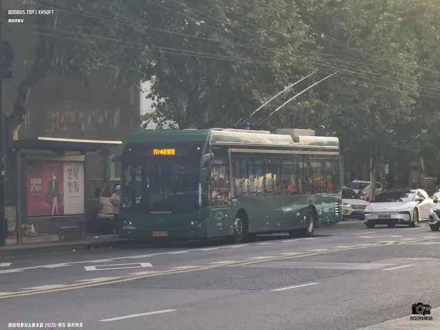 800BUS