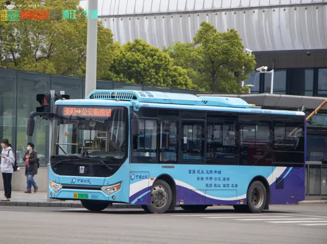 800BUS