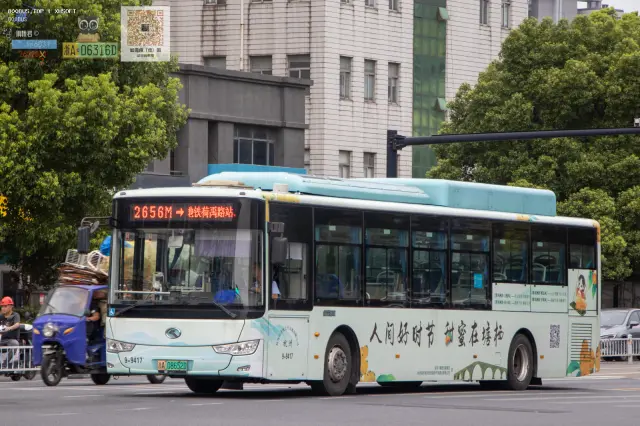 800BUS