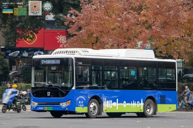 浙A 03775D