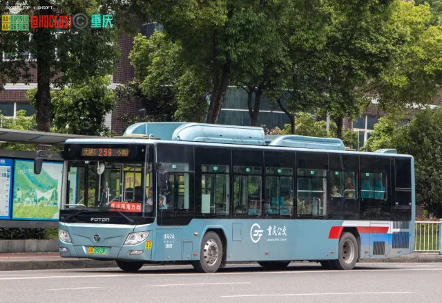 渝A 09213F