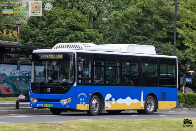 浙A 05735D