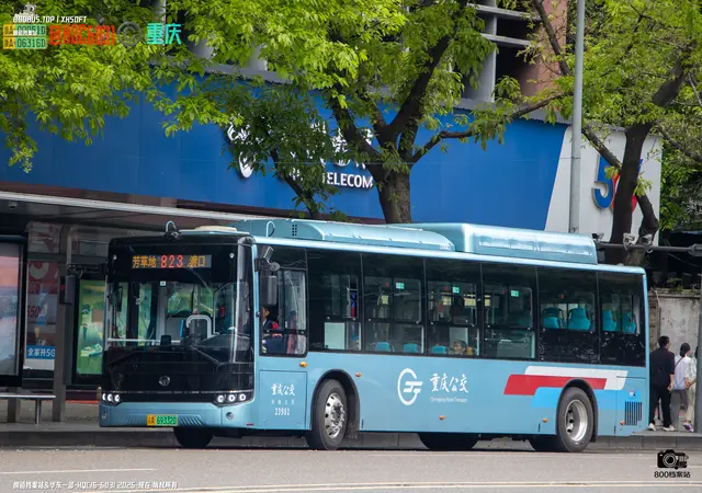 渝A 69332D