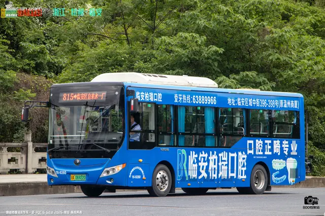 800BUS