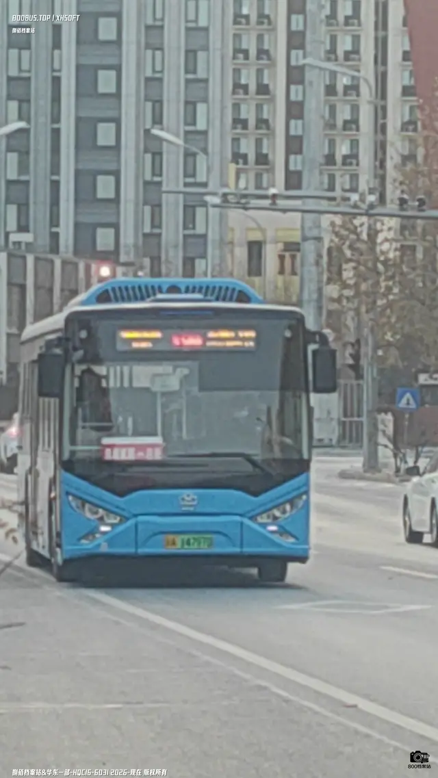 800BUS