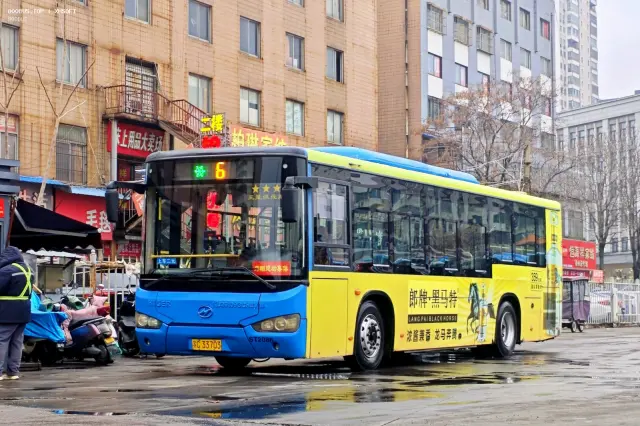 800BUS