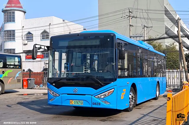 800BUS