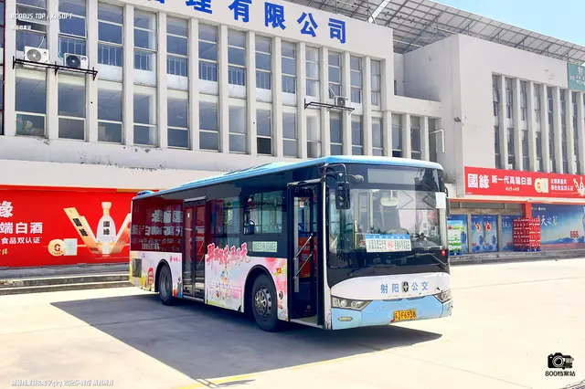 800BUS