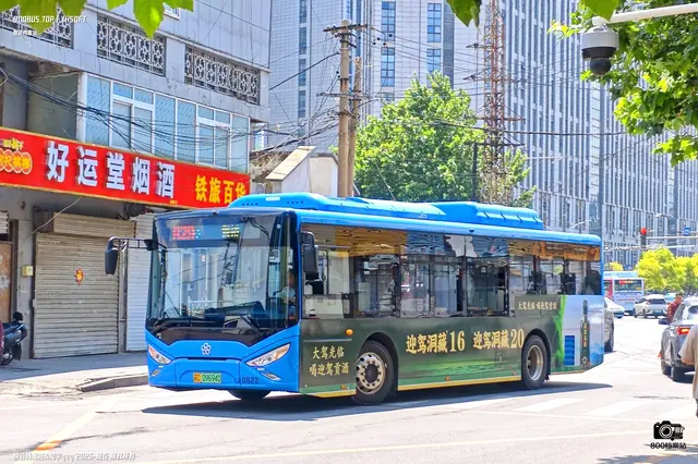 800BUS