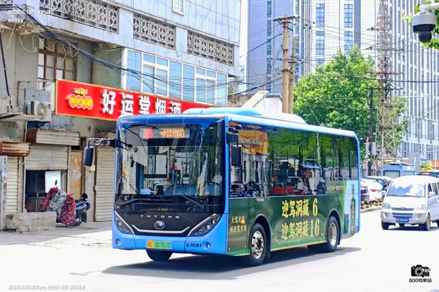 800BUS