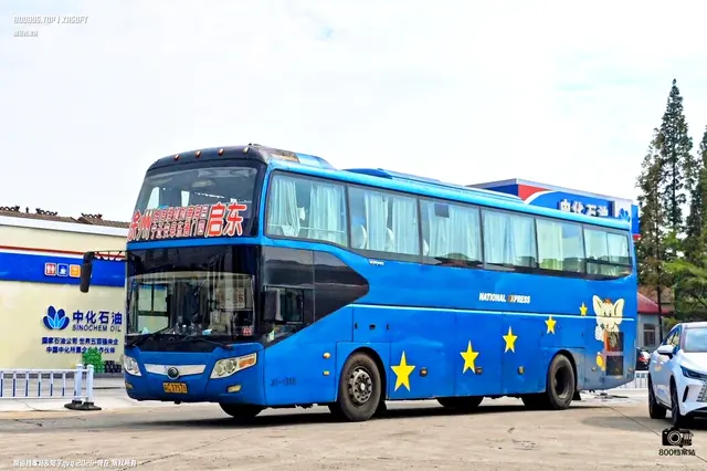 800BUS