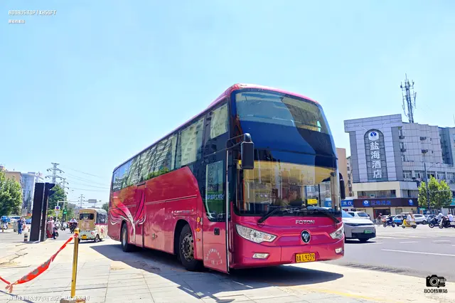 800BUS