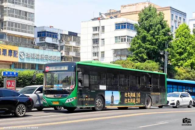 800BUS