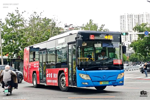 800BUS