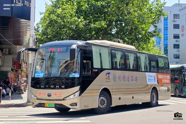 800BUS