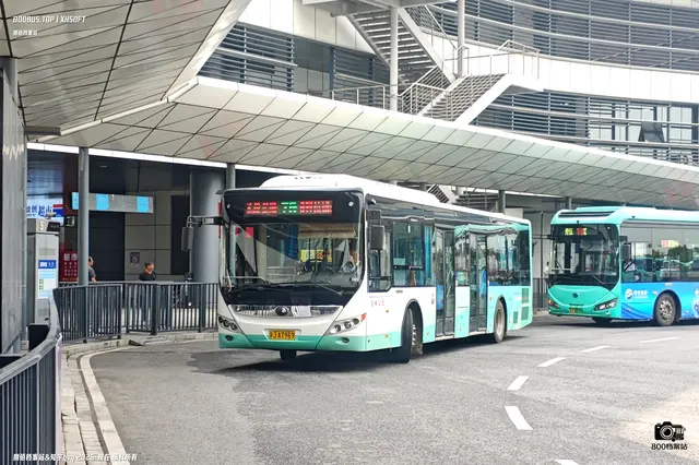 800BUS