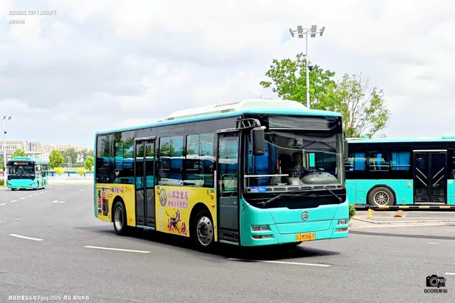 800BUS