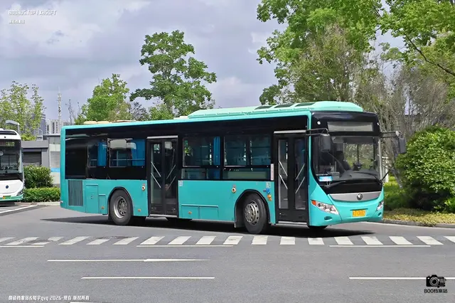 800BUS