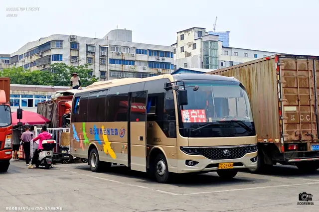 800BUS