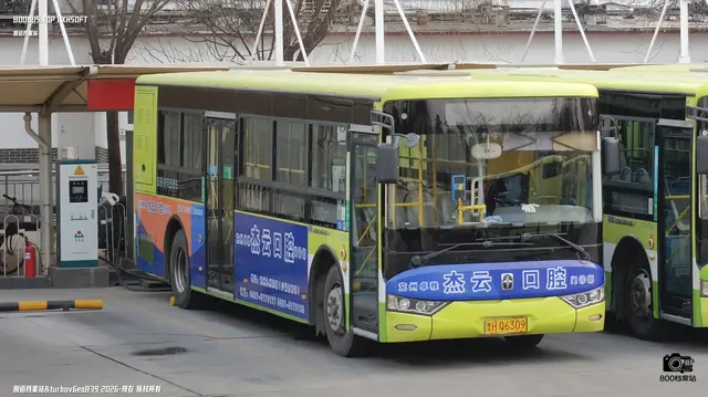 800BUS