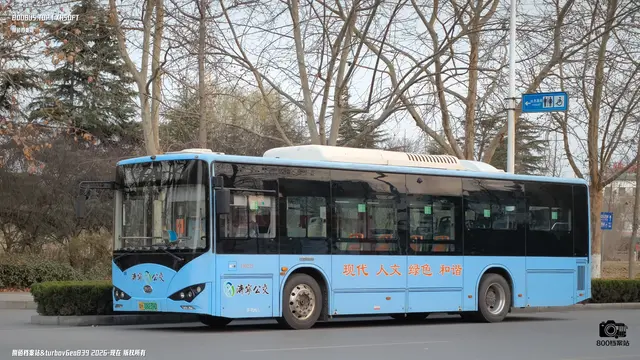 800BUS