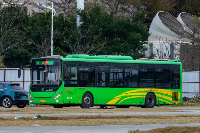 800BUS