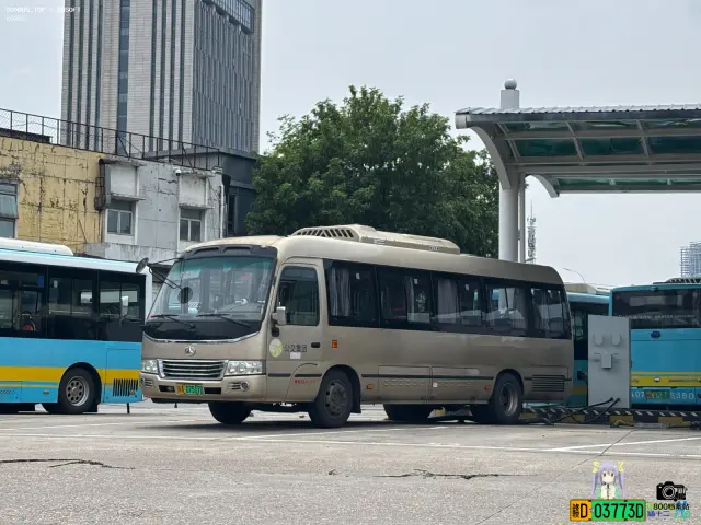 800BUS