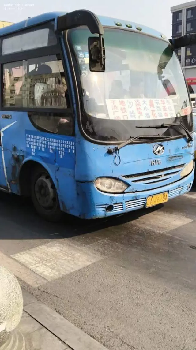 800BUS