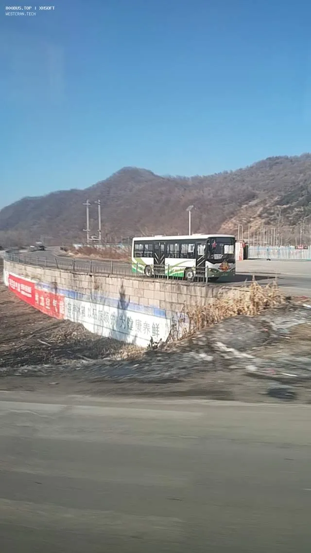 800BUS