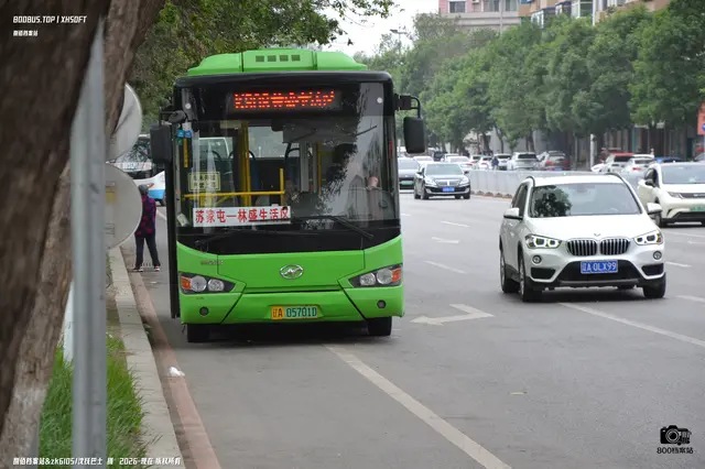800BUS