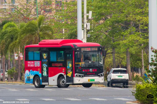 800BUS