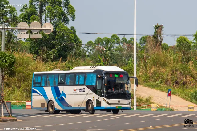 800BUS
